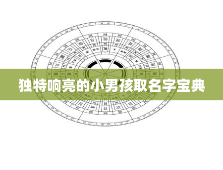 独特响亮的小男孩取名字宝典