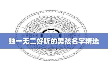 独一无二好听的男孩名字精选