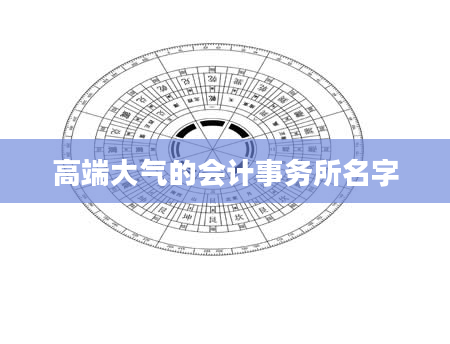 高端大气的会计事务所名字