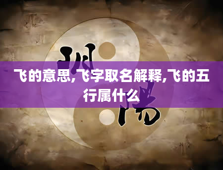 飞的意思,飞字取名解释,飞的五行属什么
