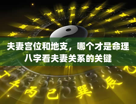 夫妻宫位和地支，哪个才是命理八字看夫妻关系的关键