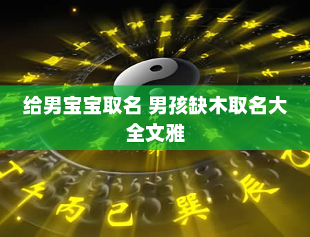 给男宝宝取名 男孩缺木取名大全文雅
