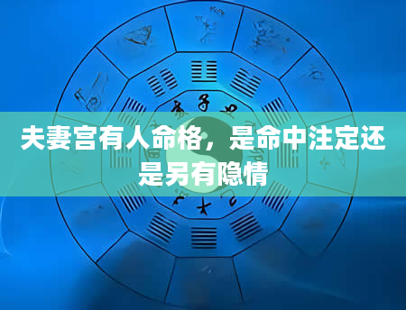 夫妻宫有人命格，是命中注定还是另有隐情