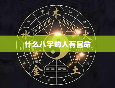 什么八字的人有官命
