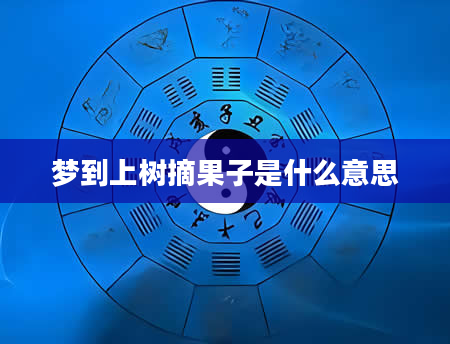 梦到上树摘果子是什么意思