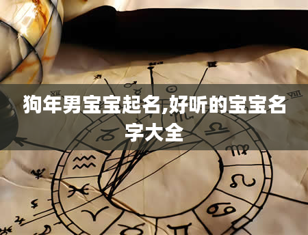 狗年男宝宝起名,好听的宝宝名字大全
