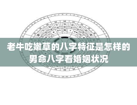 老牛吃嫩草的八字特征是怎样的男命八字看婚姻状况