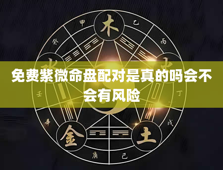 免费紫微命盘配对是真的吗会不会有风险