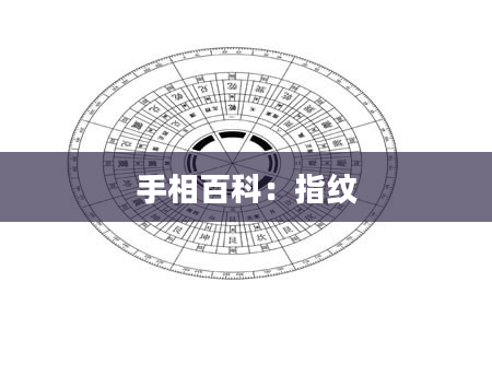 手相百科：指纹