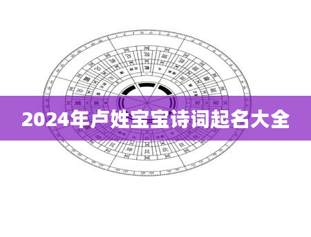 2024年卢姓宝宝诗词起名大全