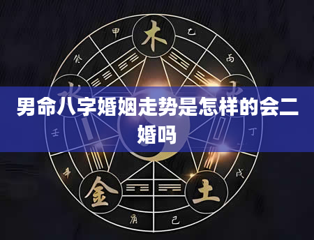 男命八字婚姻走势是怎样的会二婚吗