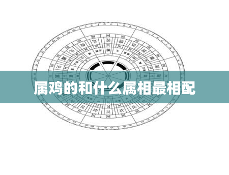 属鸡的和什么属相最相配