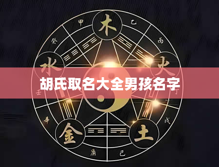 胡氏取名大全男孩名字