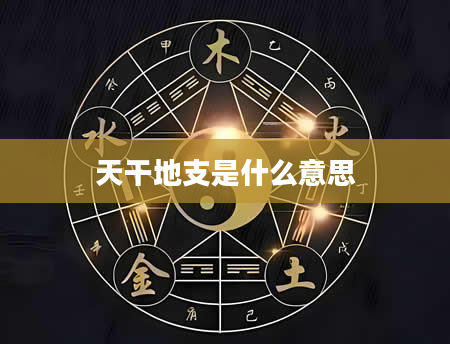 天干地支是什么意思