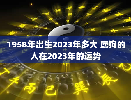 1958年出生2023年多大 属狗的人在2023年的运势