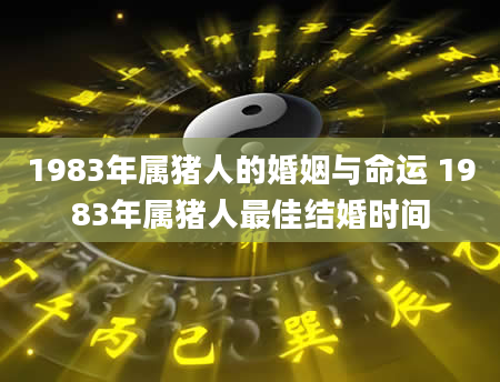 1983年属猪人的婚姻与命运 1983年属猪人最佳结婚时间
