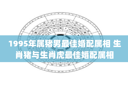 1995年属猪男最佳婚配属相 生肖猪与生肖虎最佳婚配属相