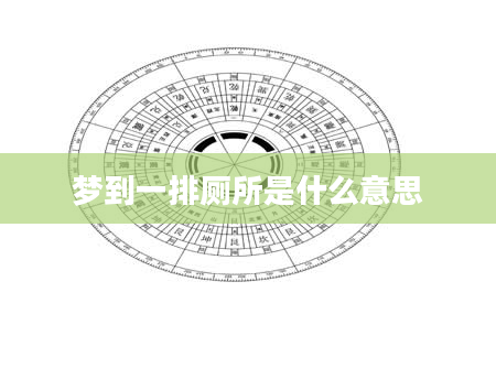 梦到一排厕所是什么意思