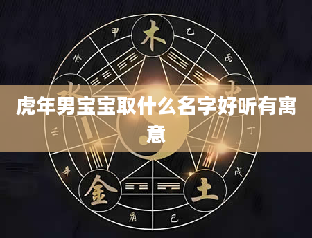 虎年男宝宝取什么名字好听有寓意