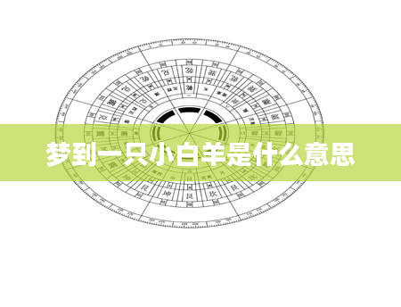 梦到一只小白羊是什么意思