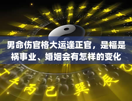 男命伤官格大运逢正官，是福是祸事业、婚姻会有怎样的变化