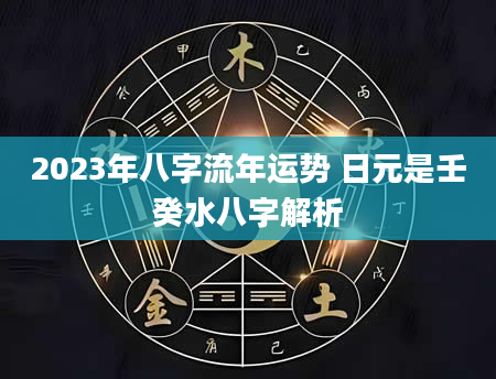 2023年八字流年运势 日元是壬癸水八字解析