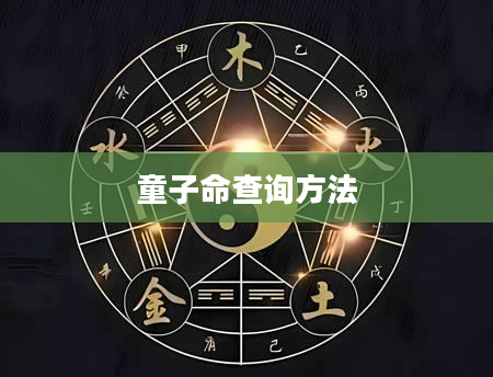 童子命查询方法
