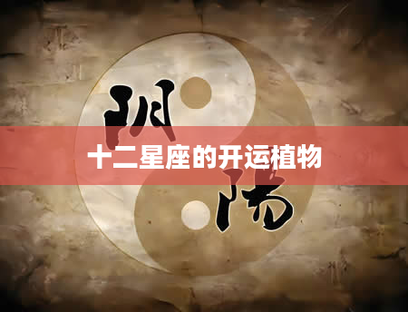 十二星座的开运植物