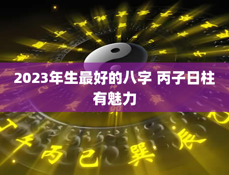 2023年生最好的八字 丙子日柱有魅力