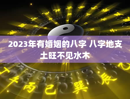 2023年有婚姻的八字 八字地支土旺不见水木