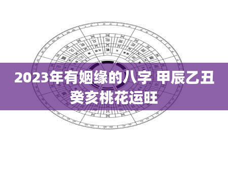 2023年有姻缘的八字 甲辰乙丑癸亥桃花运旺
