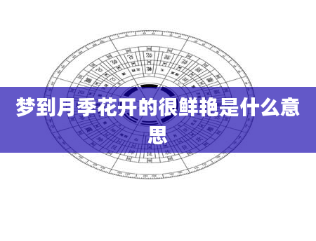 梦到月季花开的很鲜艳是什么意思