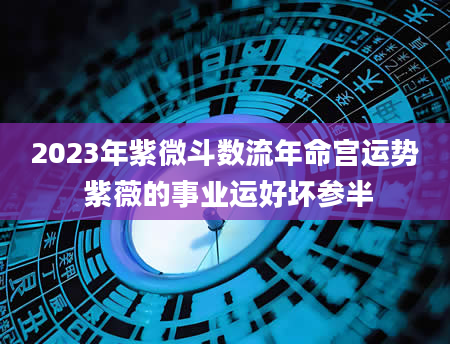 2023年紫微斗数流年命宫运势 紫薇的事业运好坏参半