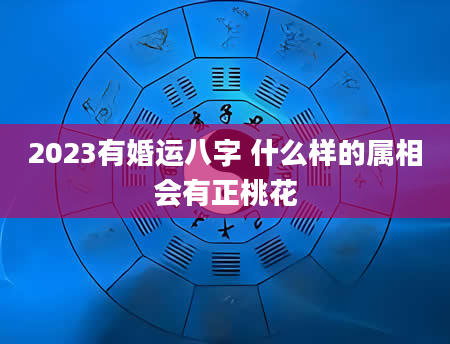 2023有婚运八字 什么样的属相会有正桃花