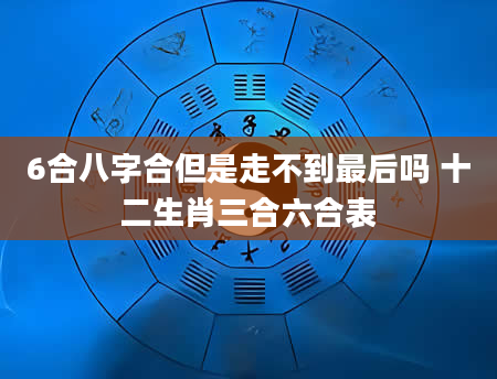 6合八字合但是走不到最后吗 十二生肖三合六合表