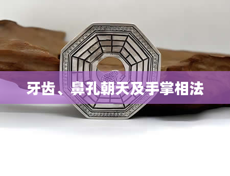 牙齿、鼻孔朝天及手掌相法