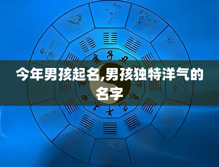 今年男孩起名,男孩独特洋气的名字