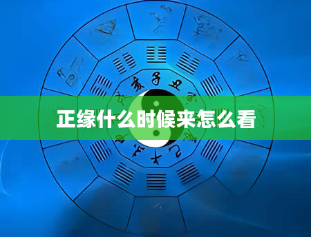 正缘什么时候来怎么看