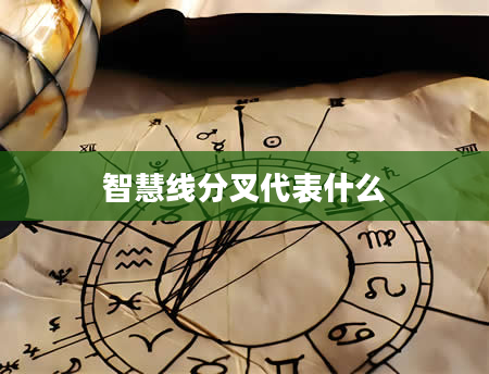 智慧线分叉代表什么