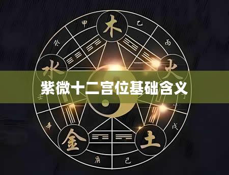 紫微十二宫位基础含义