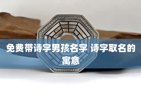 免费带诗字男孩名字 诗字取名的寓意