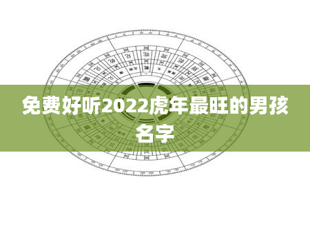 免费好听2022虎年最旺的男孩名字