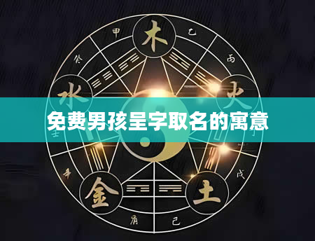 免费男孩呈字取名的寓意