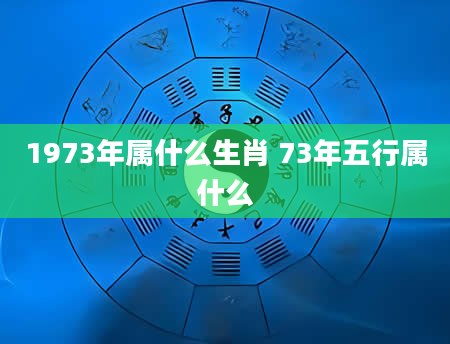 1973年属什么生肖 73年五行属什么