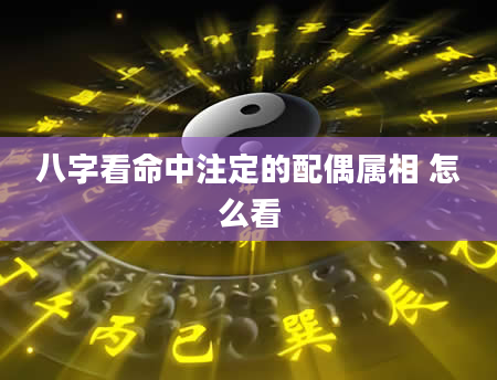 八字看命中注定的配偶属相 怎么看