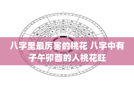 八字里最厉害的桃花 八字中有子午卯酉的人桃花旺