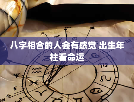八字相合的人会有感觉 出生年柱看命运