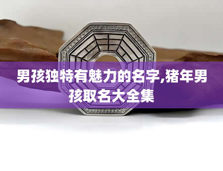男孩独特有魅力的名字,猪年男孩取名大全集