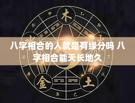 八字相合的人就是有缘分吗 八字相合能天长地久