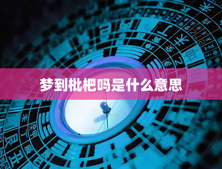 梦到枇杷吗是什么意思